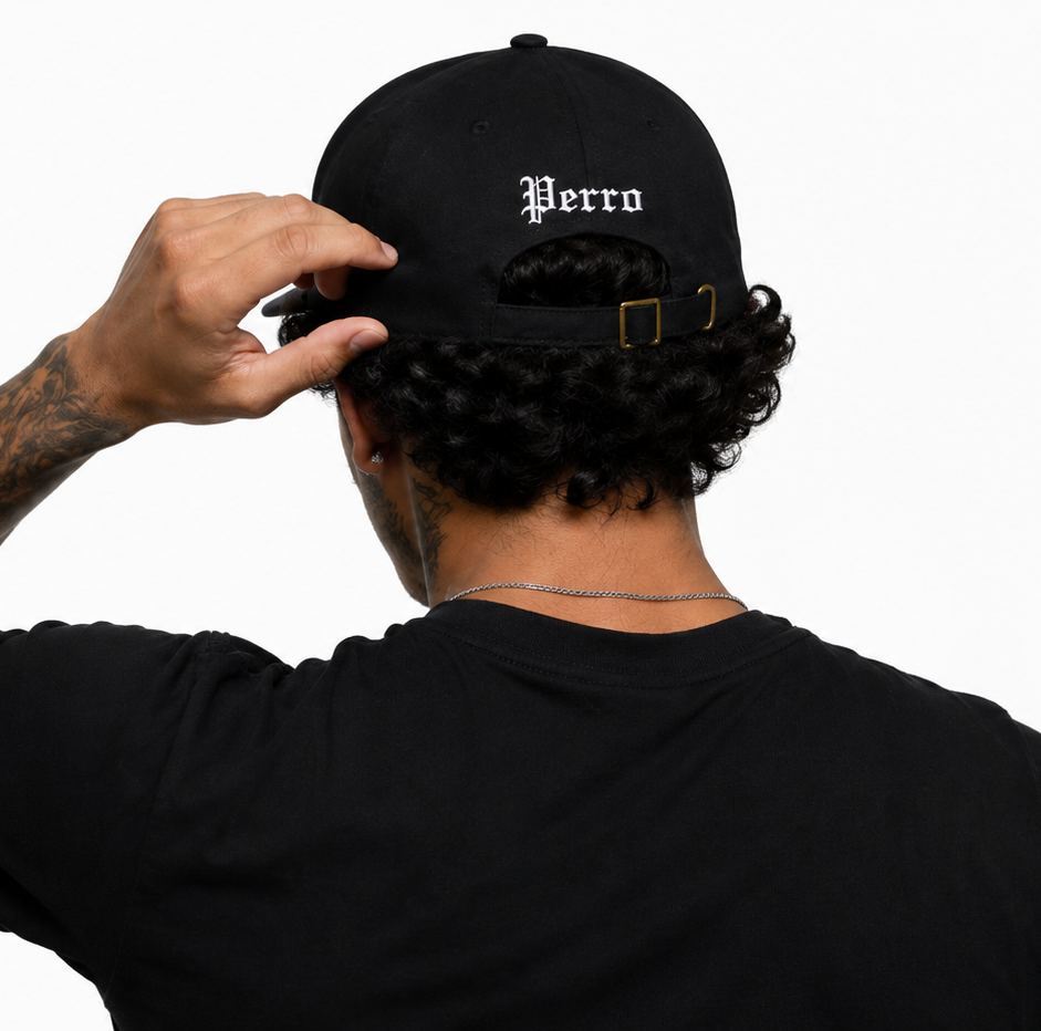 Perro Hat II
