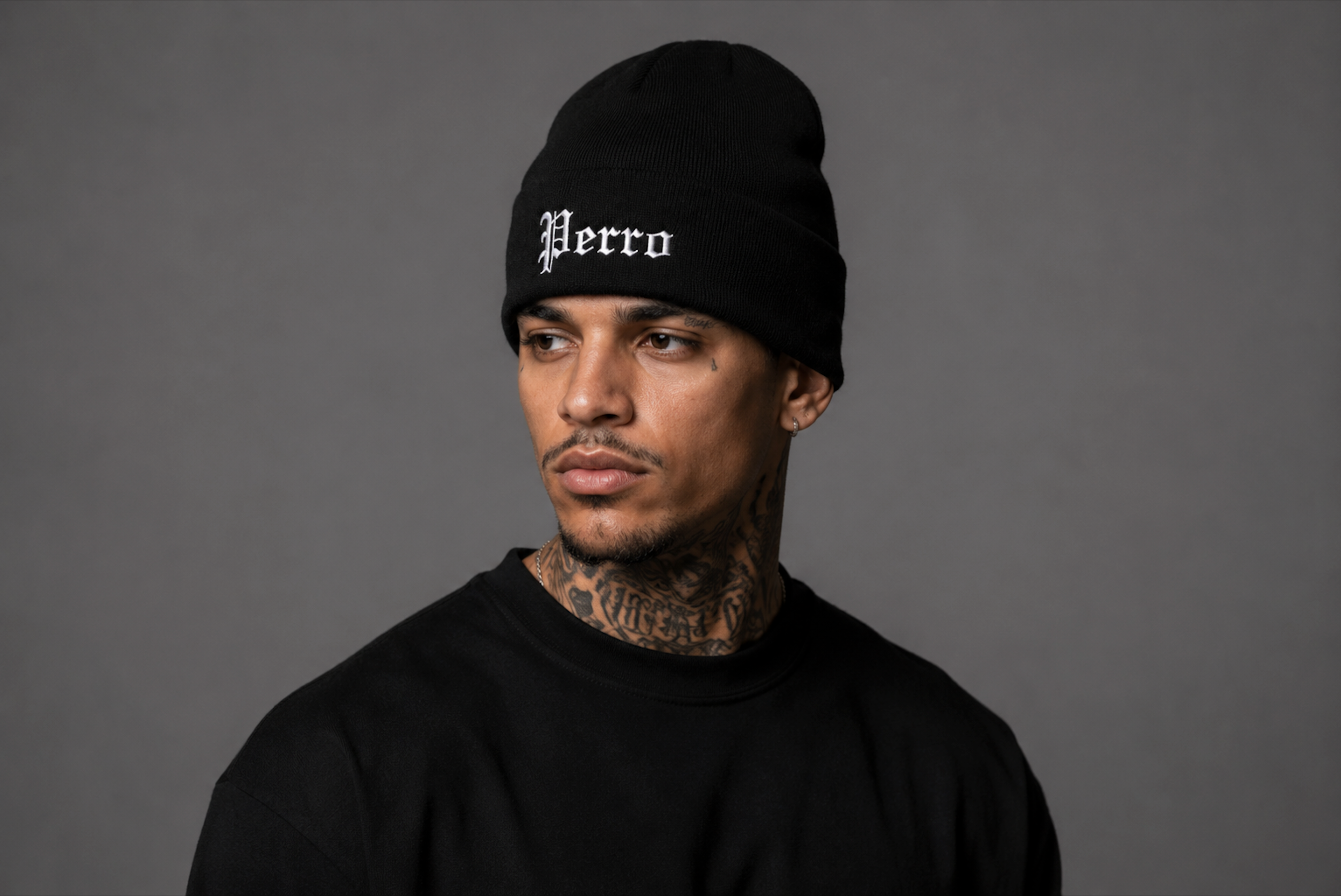 Perro Beanie